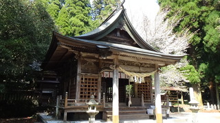DSC01079.jpg