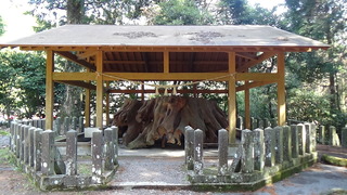 DSC01102.jpg