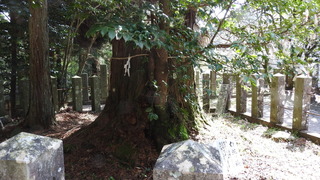 DSCN2787.jpg