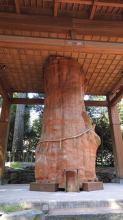 DSCN2812.jpg